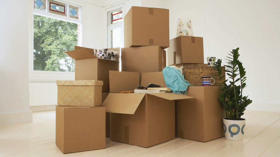 Household movers Florida 
